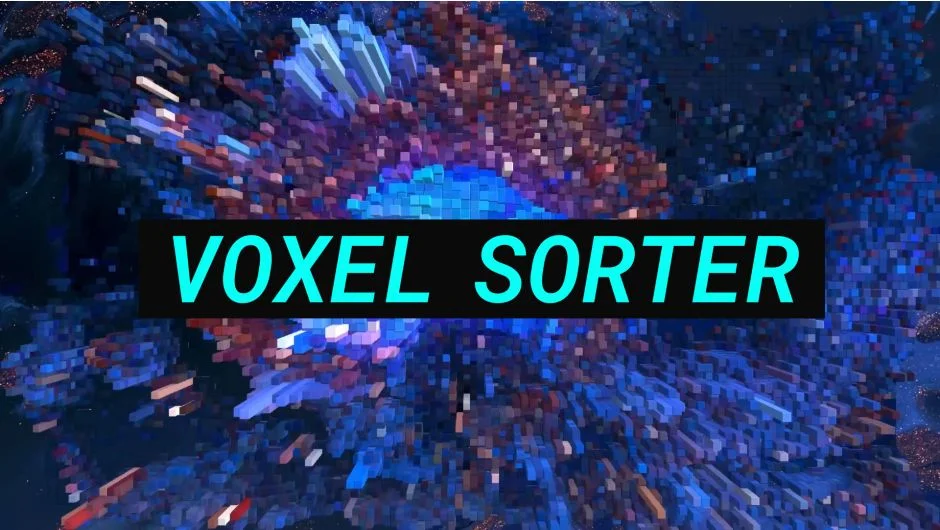 Voxel Sorter Pro screenshot